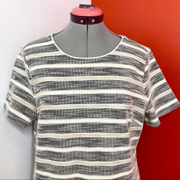 Ann Taylor Textured Stripe Knit Shift Dress - Picture 6 of 8